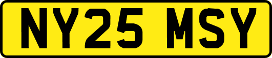 NY25MSY