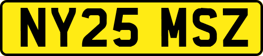 NY25MSZ