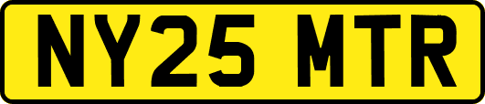 NY25MTR