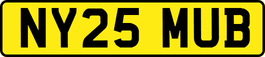 NY25MUB