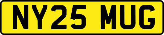 NY25MUG