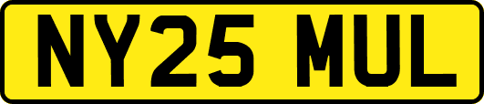 NY25MUL