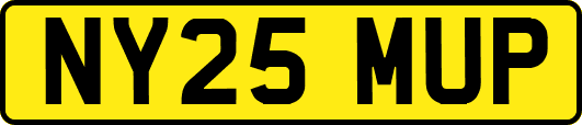 NY25MUP