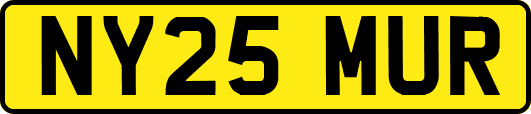 NY25MUR