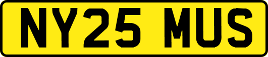 NY25MUS