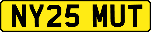 NY25MUT
