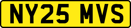 NY25MVS