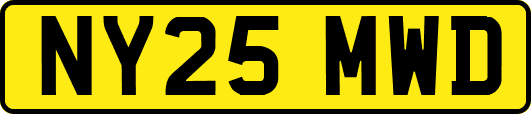 NY25MWD
