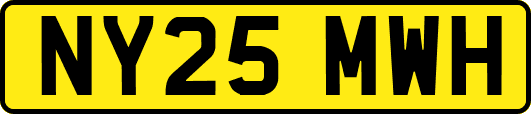 NY25MWH
