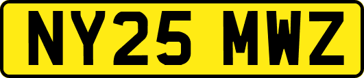 NY25MWZ