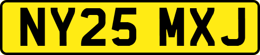 NY25MXJ