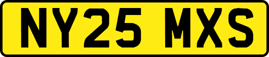 NY25MXS