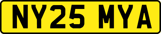 NY25MYA