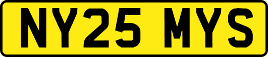 NY25MYS