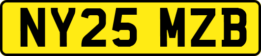 NY25MZB