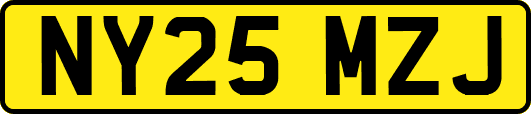 NY25MZJ