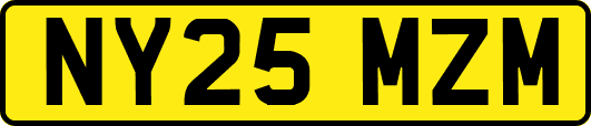 NY25MZM