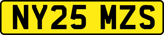 NY25MZS