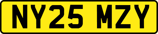 NY25MZY