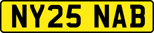 NY25NAB
