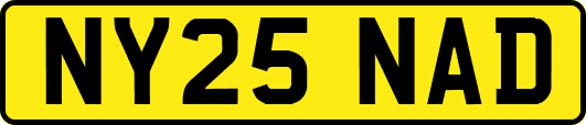 NY25NAD