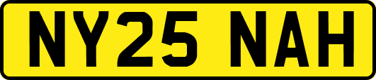 NY25NAH