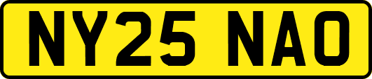 NY25NAO
