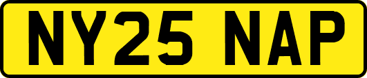 NY25NAP