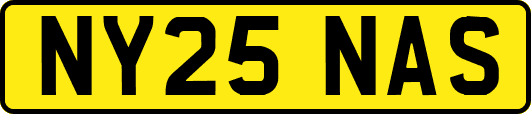 NY25NAS