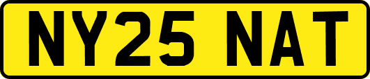 NY25NAT