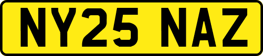 NY25NAZ