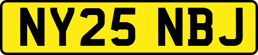 NY25NBJ