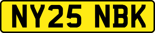NY25NBK