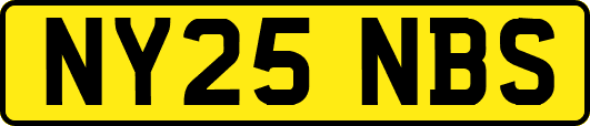 NY25NBS