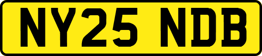 NY25NDB