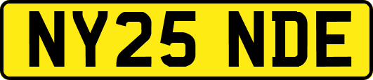NY25NDE