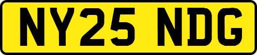 NY25NDG