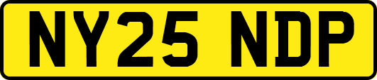 NY25NDP