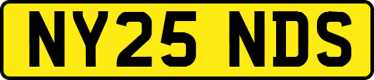 NY25NDS