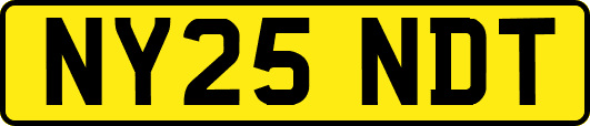NY25NDT