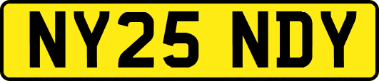 NY25NDY