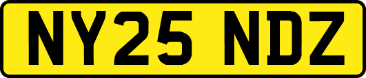 NY25NDZ