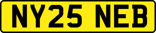 NY25NEB