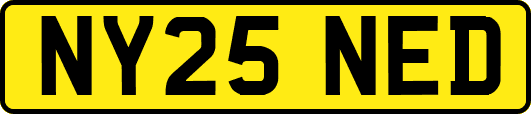 NY25NED