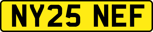 NY25NEF