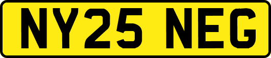 NY25NEG