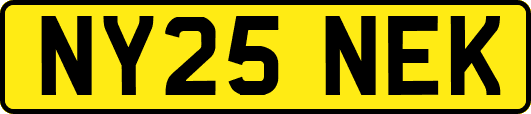 NY25NEK