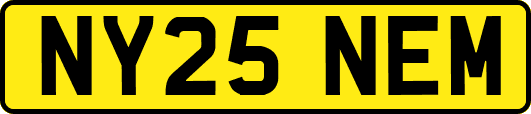 NY25NEM