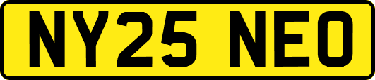NY25NEO