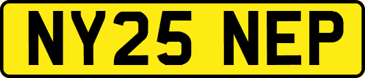 NY25NEP